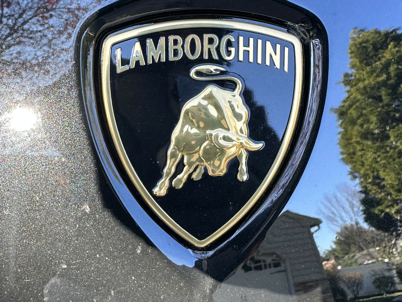 Lamborghini — badge & paint detail