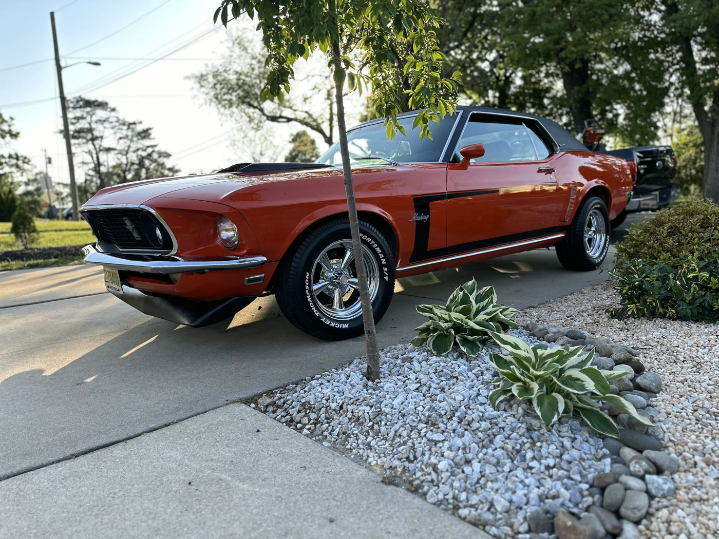 Classic Mustang — restored finish